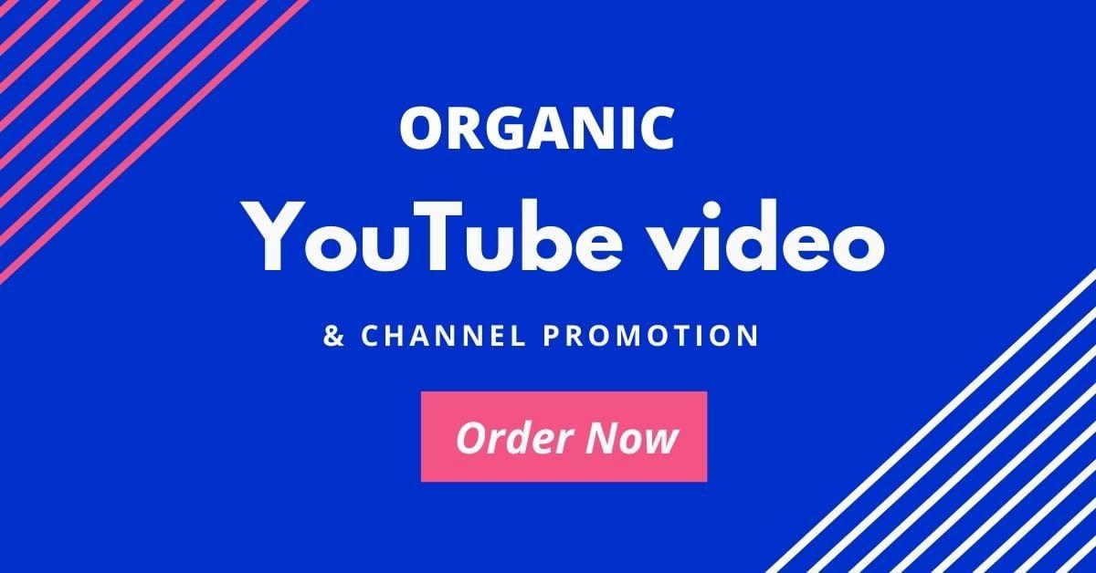 Professionally Do Organic YouTube video promotion with active audience