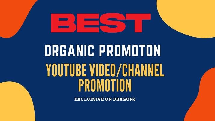 Professional Top Organic YouTube Video promotion