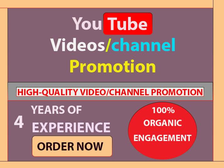 Fully Safe High-Quality Video Promotion & Channel Marketing Via Social Media Network 