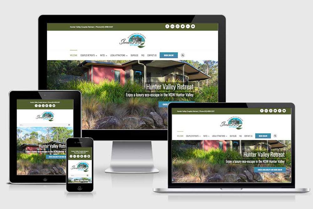 I will develop or design or customize wordpress website