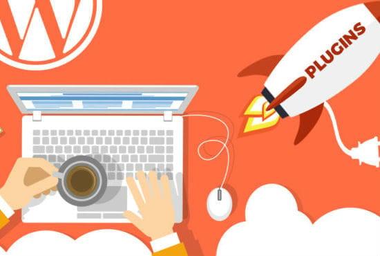 Develop Custom Wordpress Plugin in 24 hours