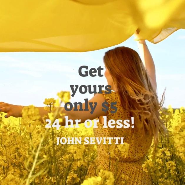 Create stunning video in 24 hours or less