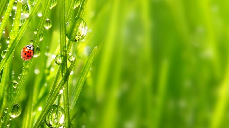 Best promoter channel service firstly give