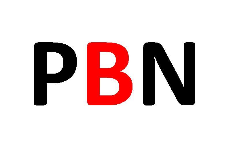 Push your site Google 1st Page with 455+ High Quality PBN backlinks with fast delivery 