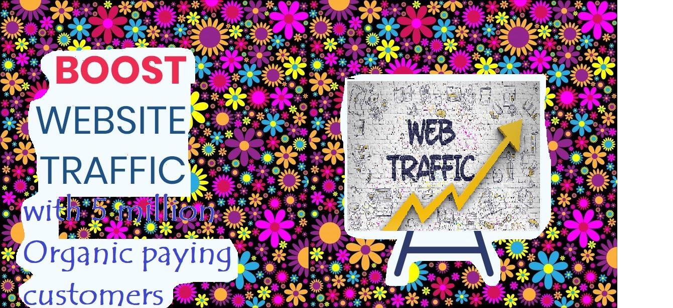 Get 1,000,000 million organic visitors and views in 7 days