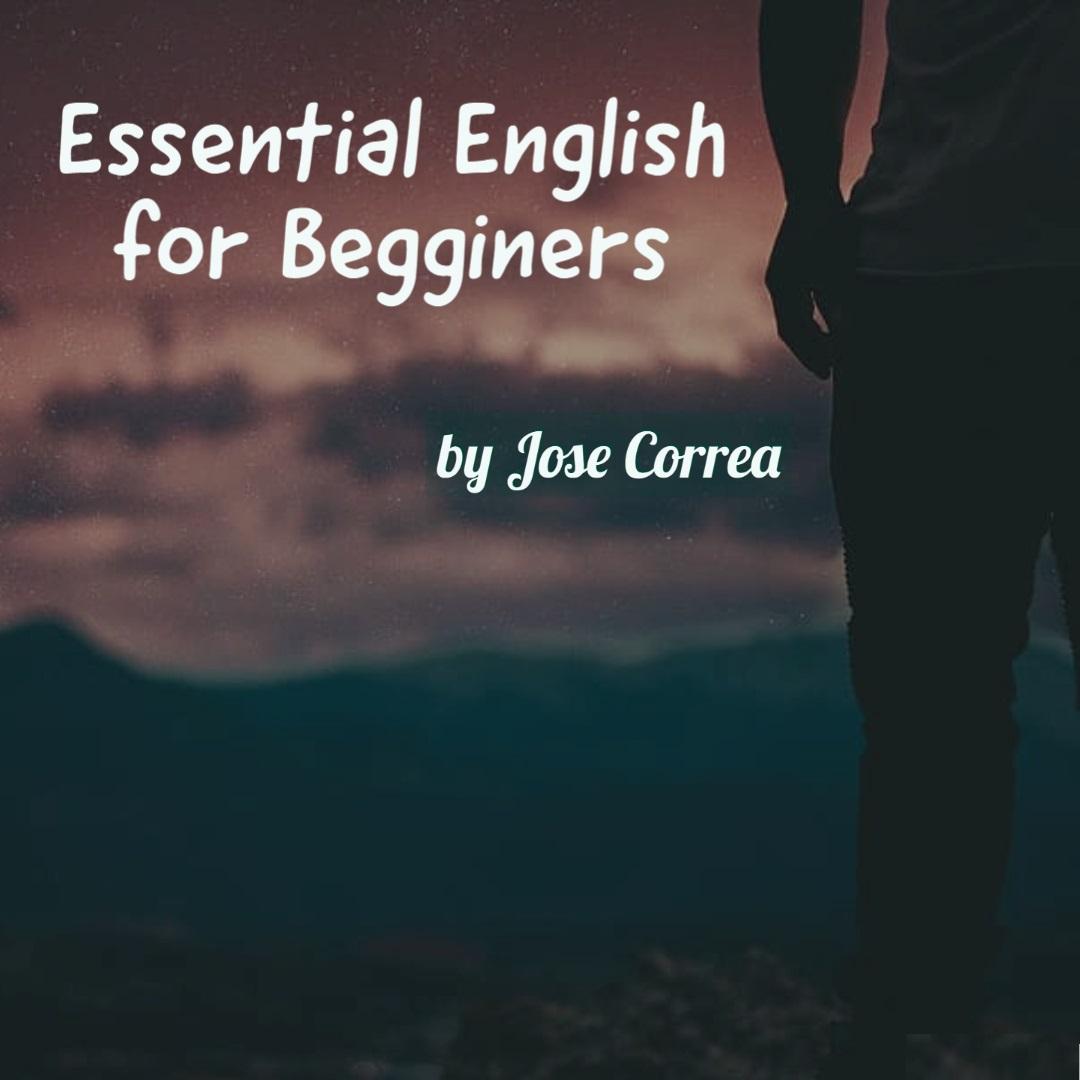 English Video Lessons for Beginners