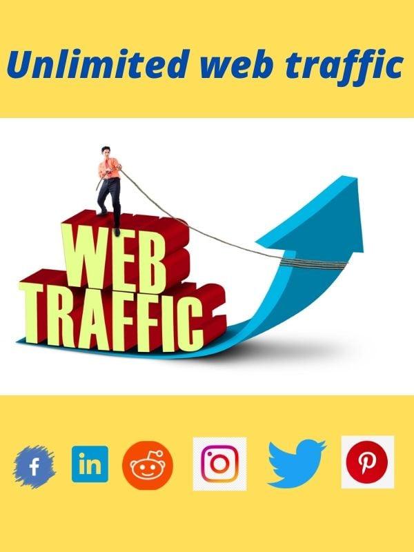 I will provide original web traffic 
