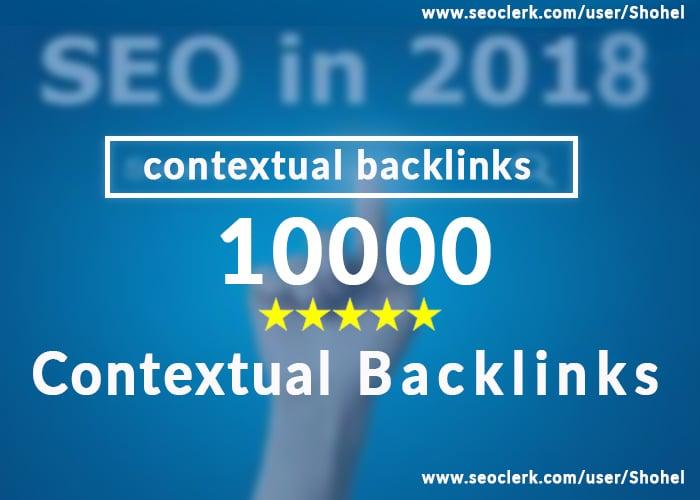 Build Manual 20 High Quality PBN Homepage Backlinks