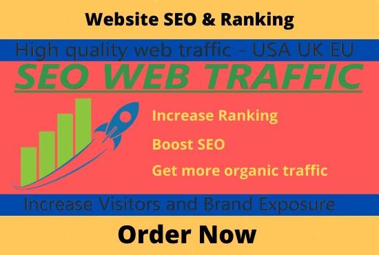 I will send SEO WEB TRAFFIC - Improve website Ranking 