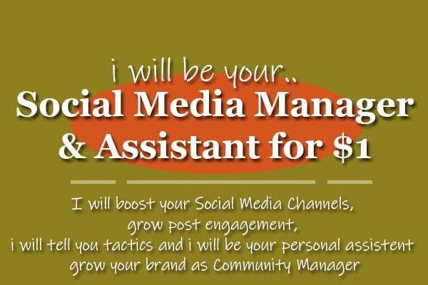 I will be your social media and community manager