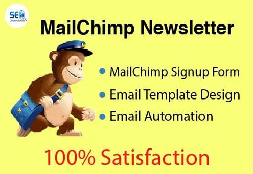 I will setup MailChimp newsletter and email automation on WordPress website