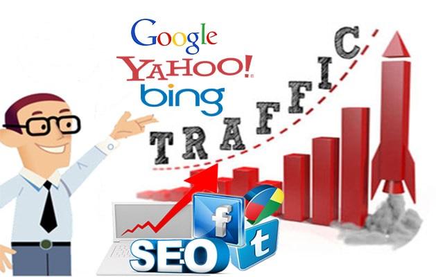 I will improve your alexa ranking and google with organic search traffic