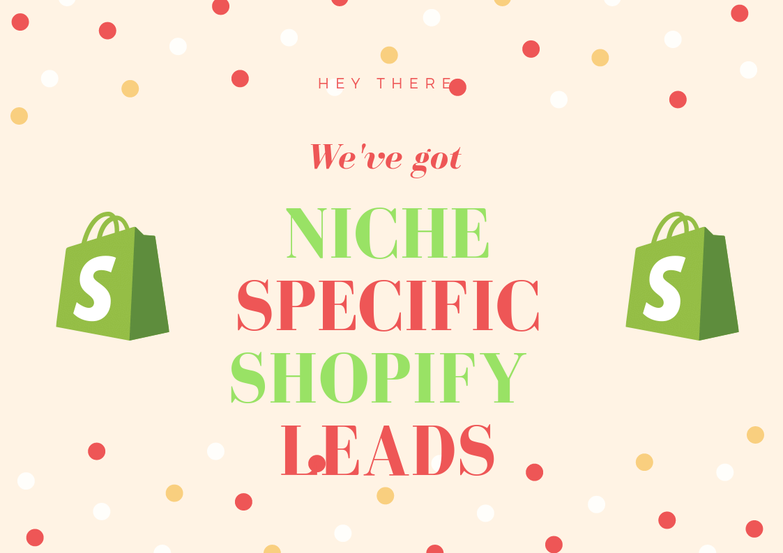 300k+ Massive Store all niches leads USA 