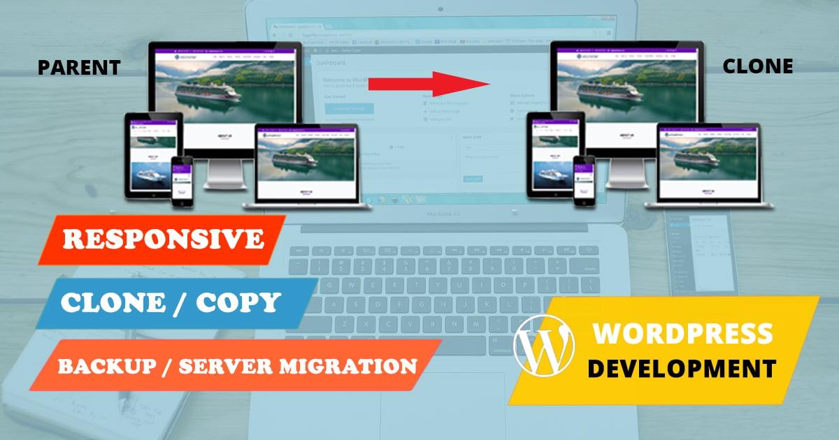 I will create responsive SEO friendly WordPress blog website with basic SEO