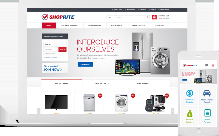 Get a Professional Wordpress Website Design-With Blog-2019