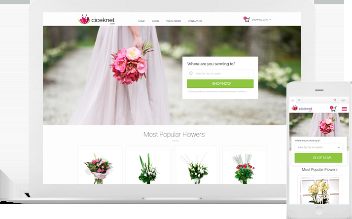 Get a Professional Wordpress Website Design-With Blog-2019