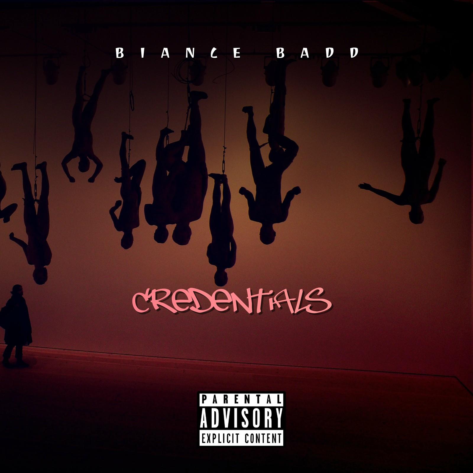 COVER ART OR FLYERS CUSTOM ORDERS FAST TURN AROUND