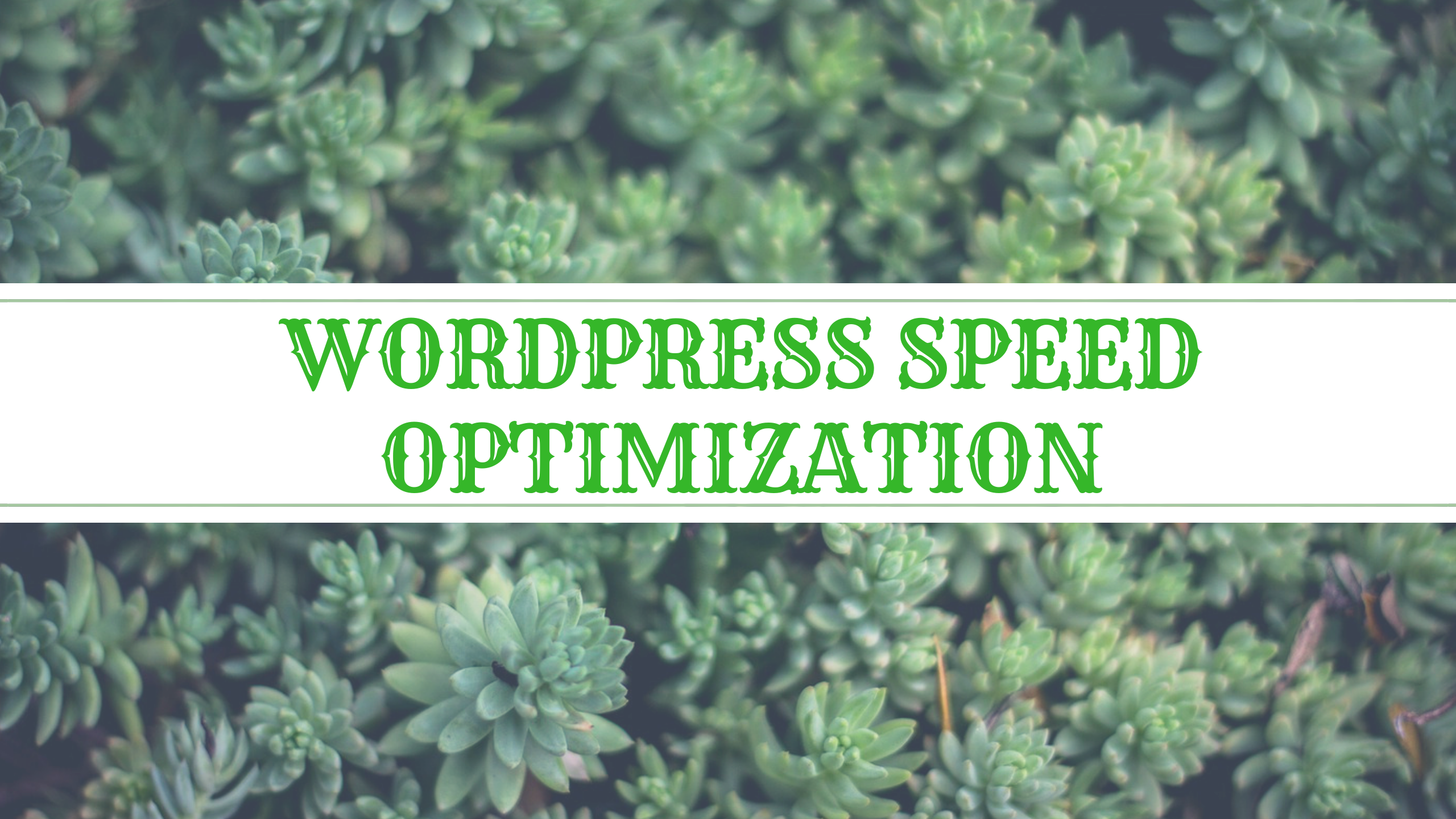 Wordpress Speed optimization, Boost up your WordPress site performance
