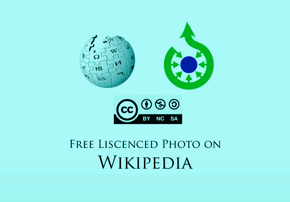 I Will Do Add Photo On Wikipedia Without Any Copyright Claim For $20