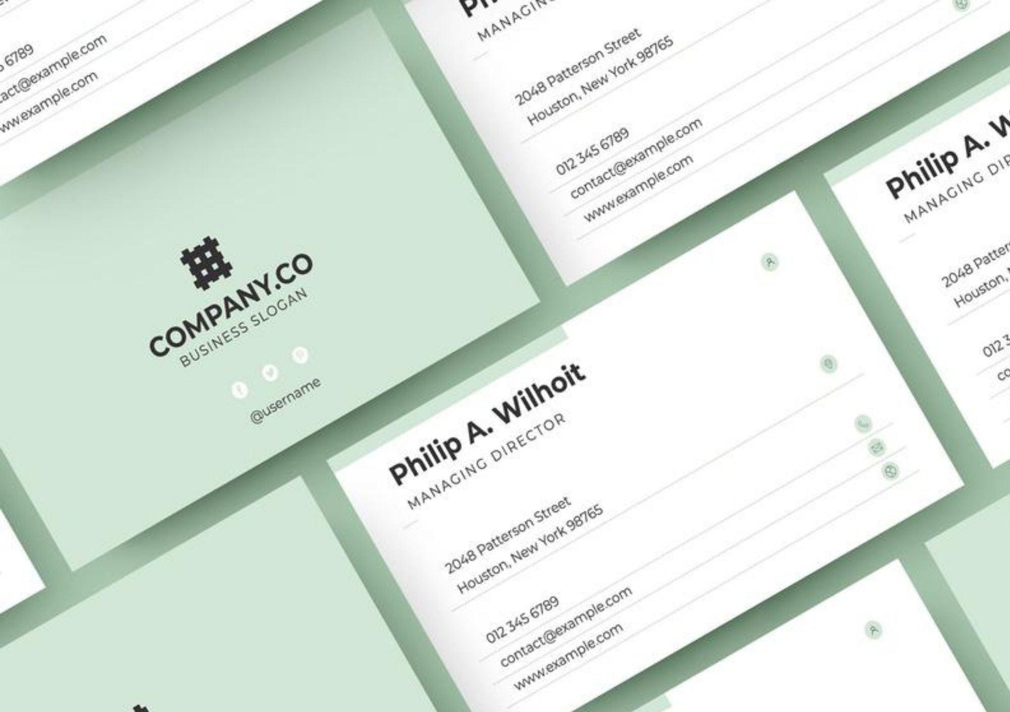 Provide Simple Professional Business Card Design in 24 hour