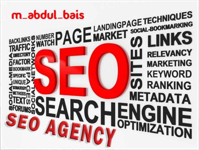 I will be your expert SEO agency