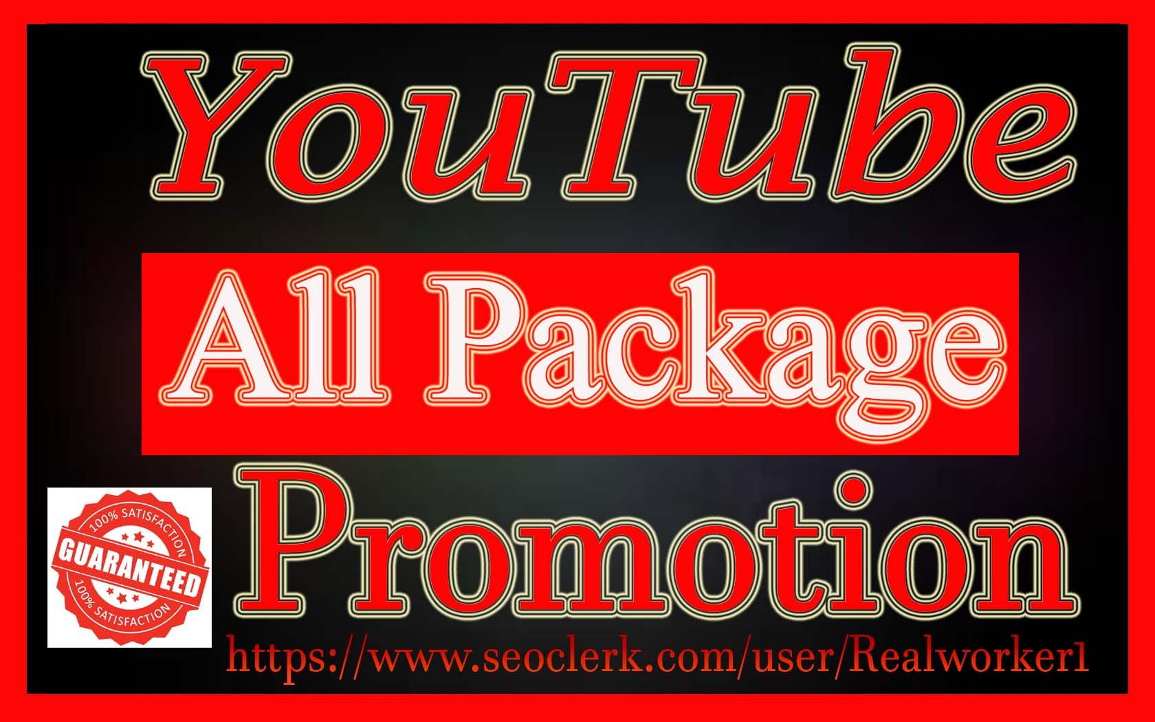 High Quality YouTube Promotion Social Media Marketing Fast Delivery