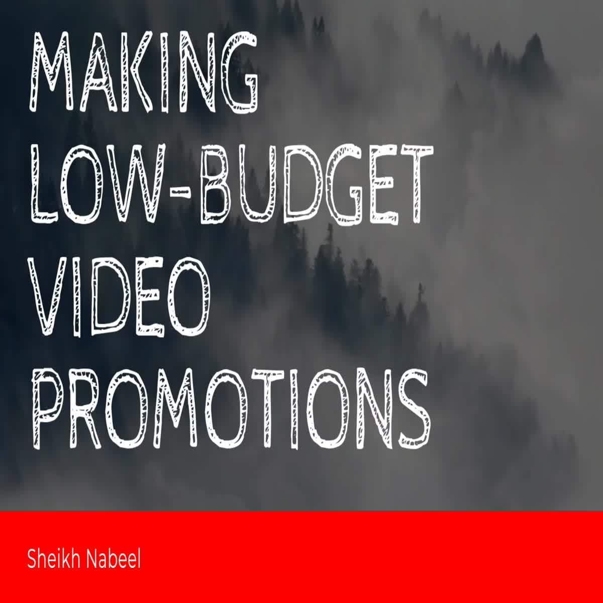 I will do organic promotion to boost your engagment 