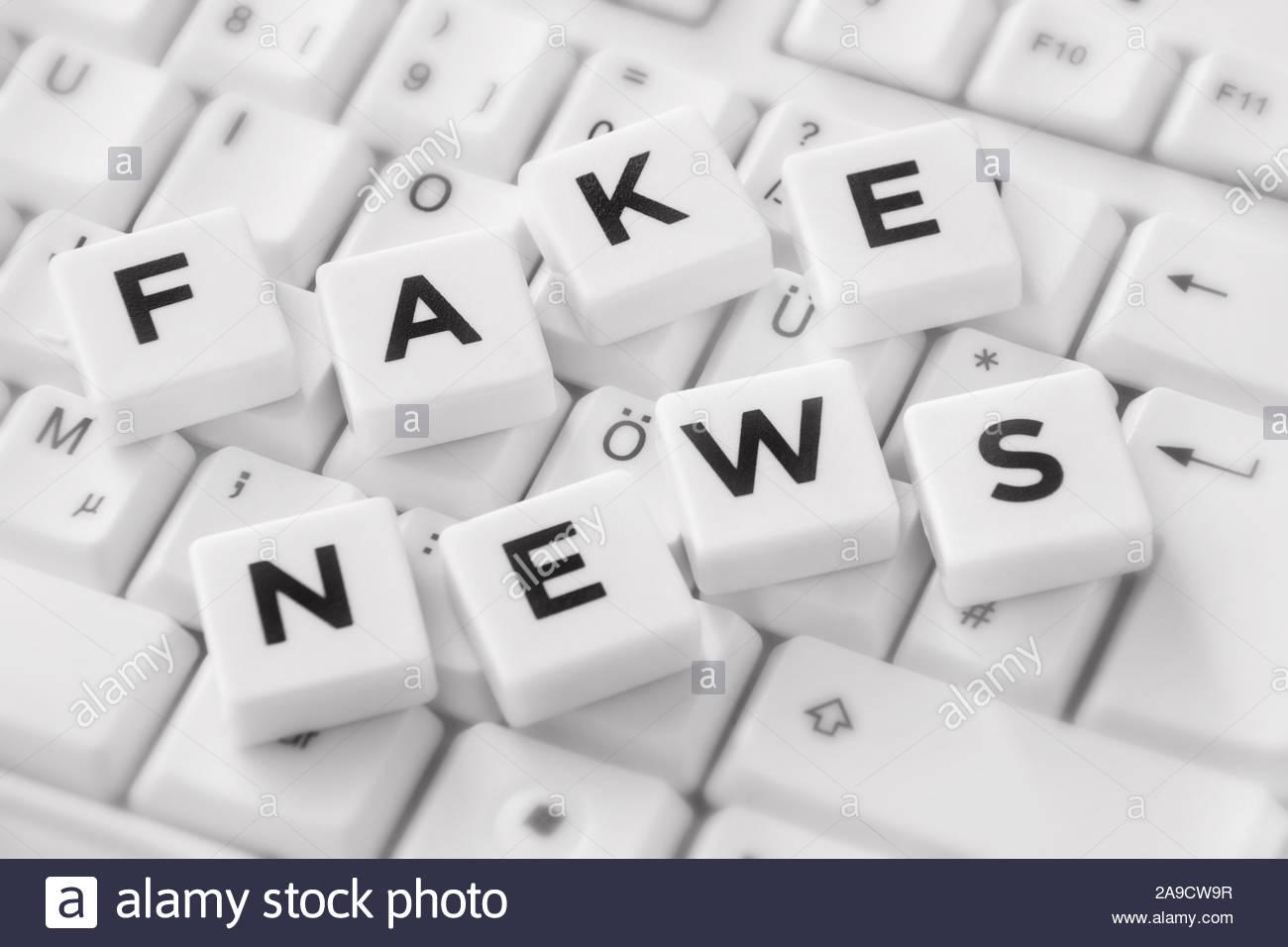 I will professional publish articles blog posts