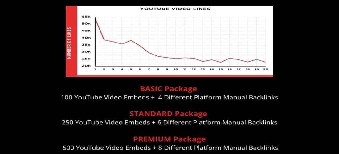 Embed Your Youtube Video in 500 High Quality Web 2.0 Sites and Differen platform Backlinks
