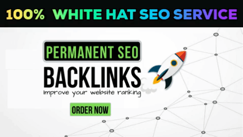 Provide permanent SEO backlinks with link building for high google ranking