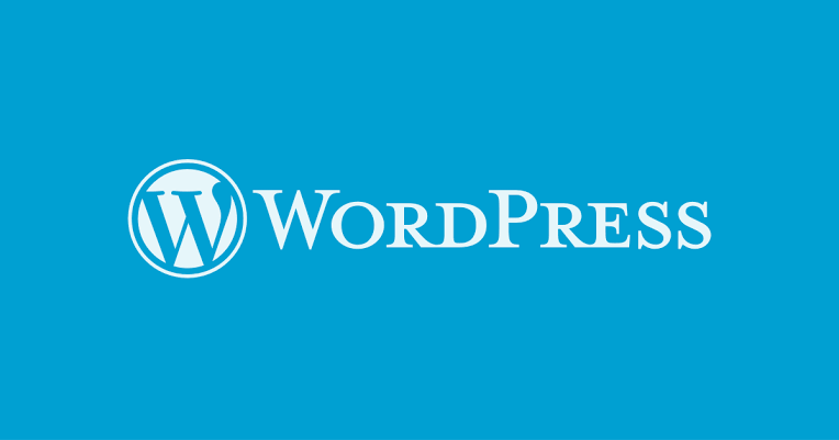 I will develop professional wordpress, wix, weebly website