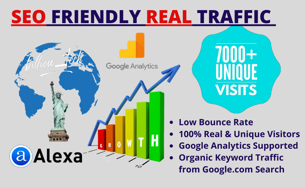 I will send real visitors, targeted web traffic