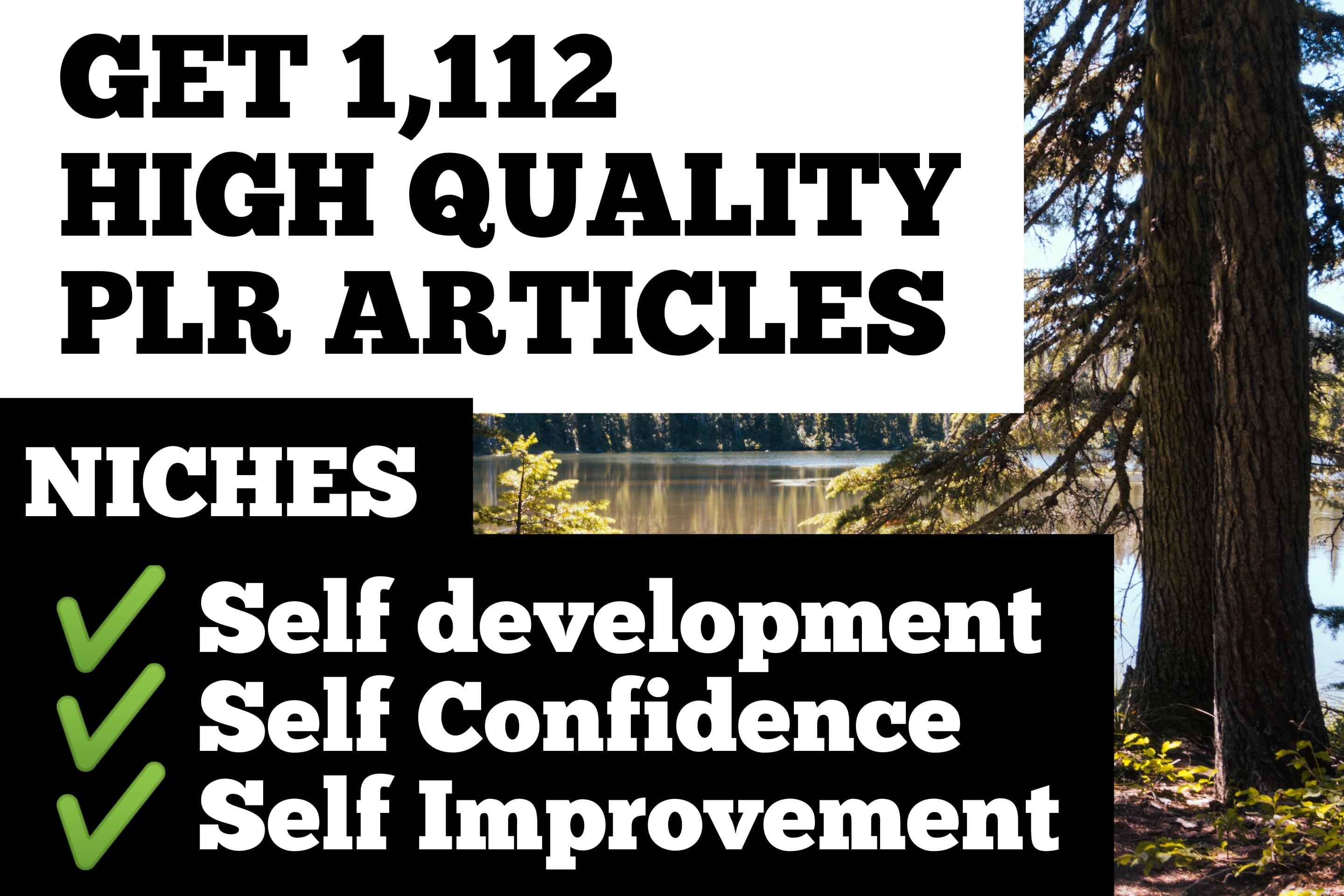 I will send you over 1000 PLR Articles on self development,self confidence,self improvement niches