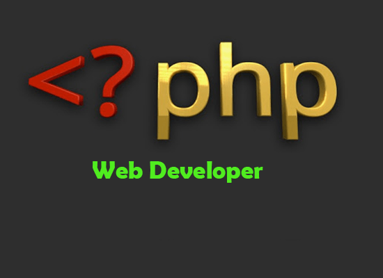 Expert php programmer ready to install your php script on your server