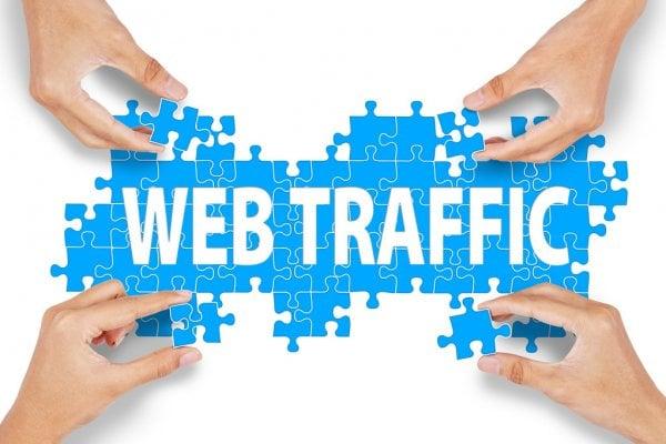 I will send 1000 real,High quality website traffic 