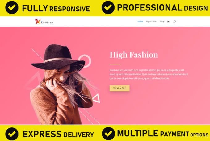 create a professional wordpress ecommerce website or online store