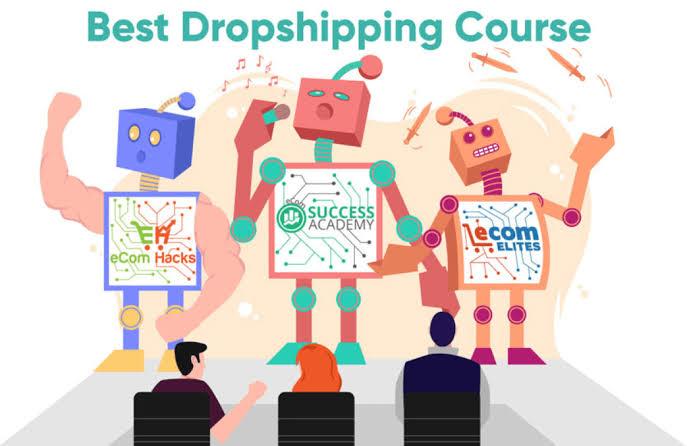 Premium Dropshipping Course- Create your store and make money online 