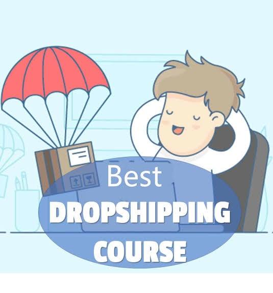 Premium Dropshipping Course- Create your store and make money online 
