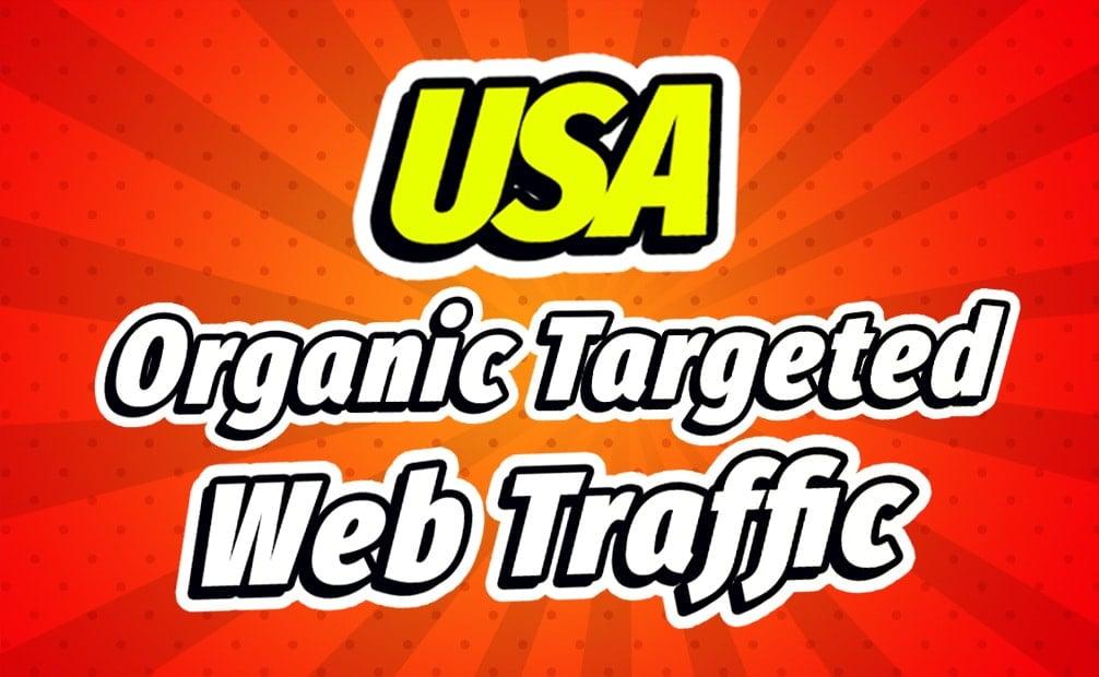drive USA organic web traffic real visitors