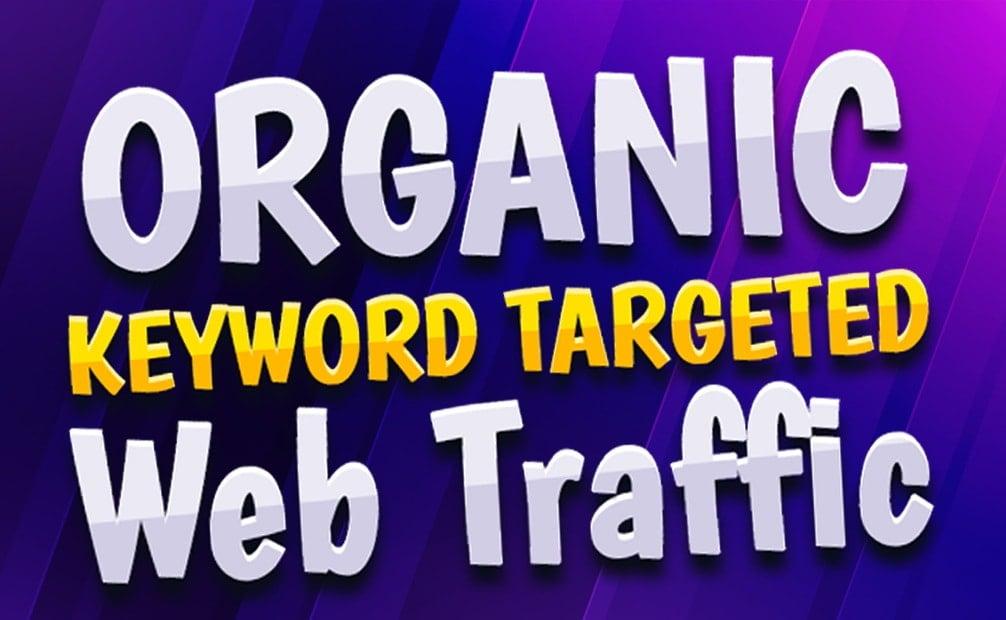 drive organic web traffic real visitors