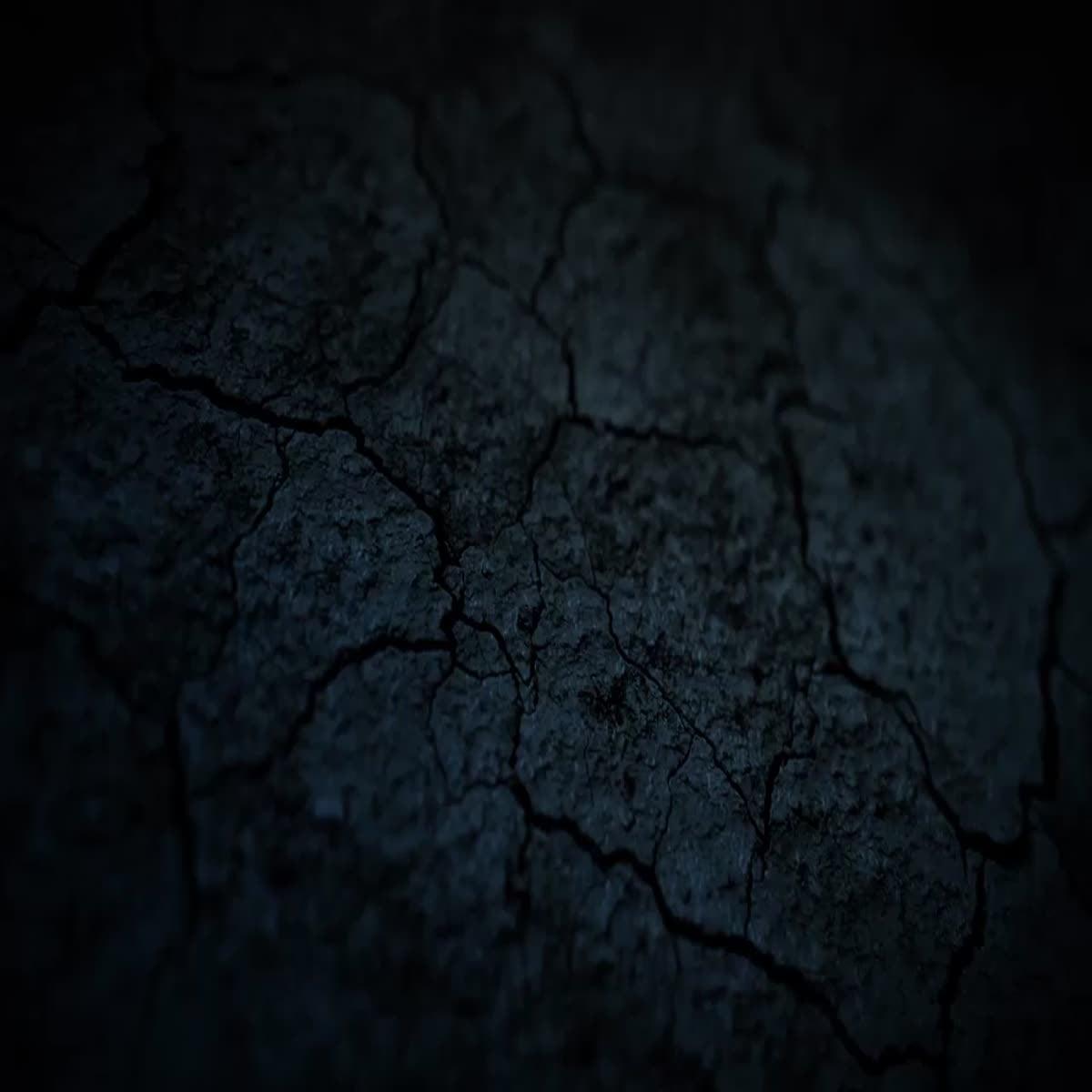 Youtube Intro Outro Video Trailer Promo Or Animated Logo wit in 1day