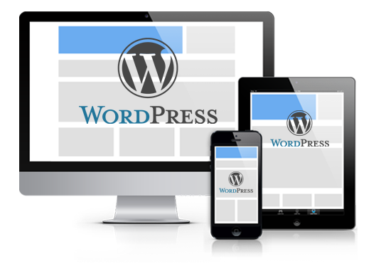 CREATE BEST WEBSITE WITH US, WE OFFER STUNNING DESIGNS 