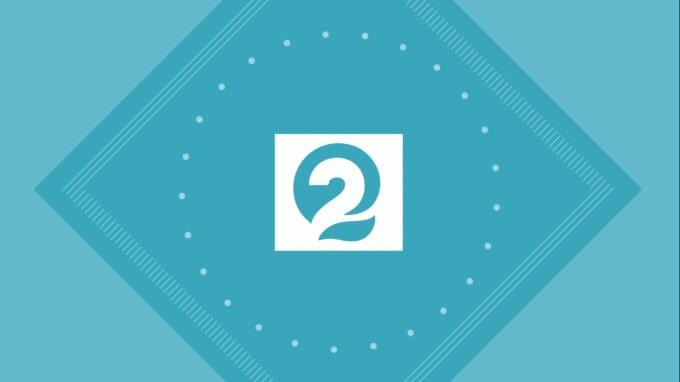 I will do professional motion graphics and logo intro animation