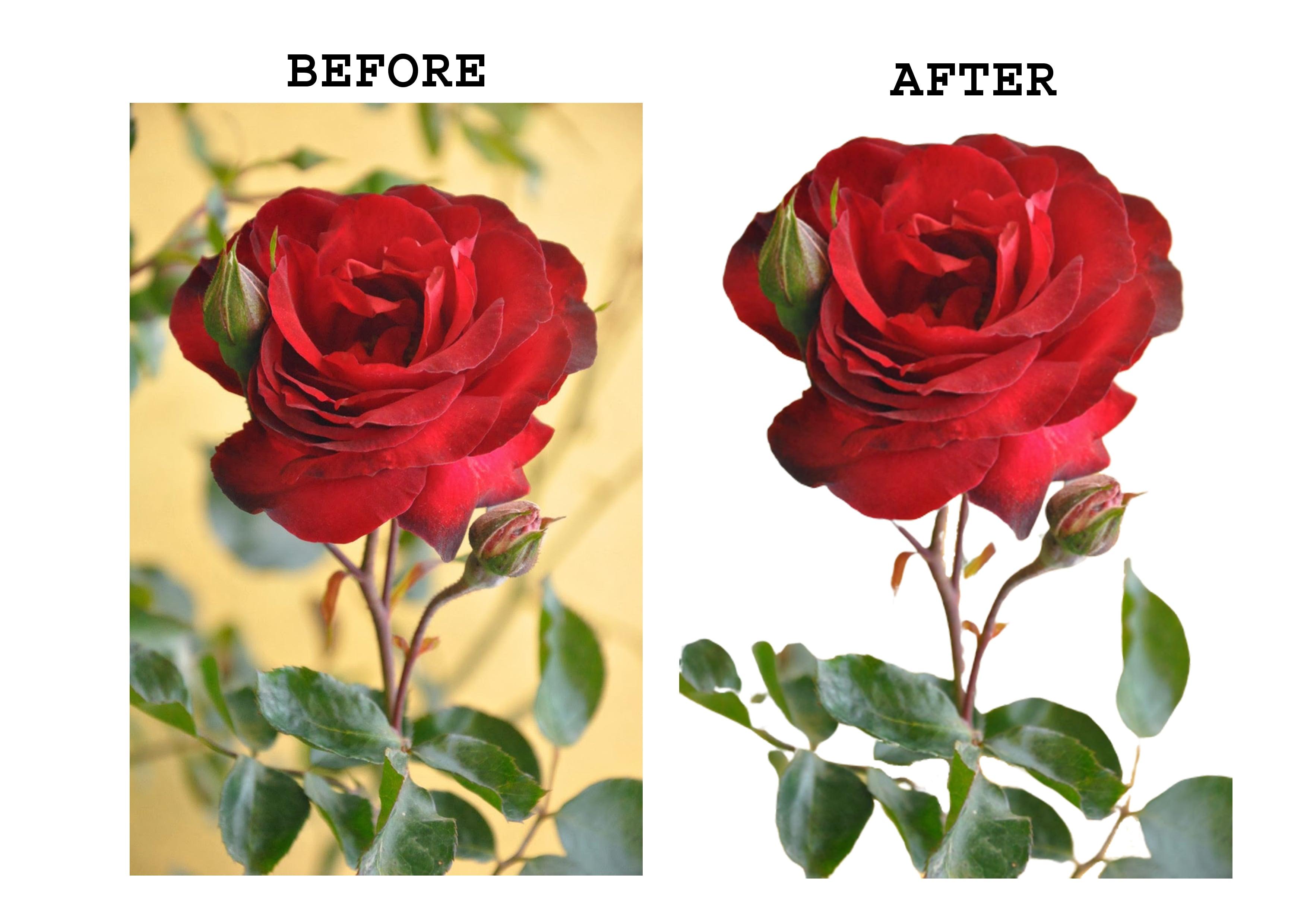 5 Photoshop Background Remove Service in low cost