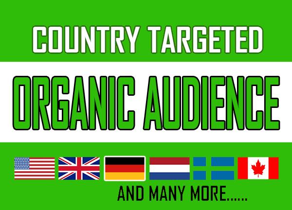 Add your track to Country Targeted Spotify playlist for targeted audience