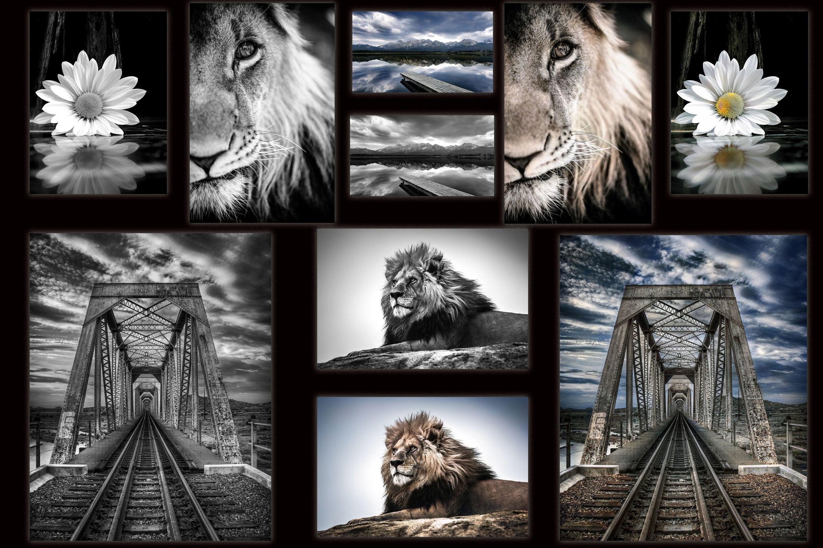 I Will Color Your Black And White Photo