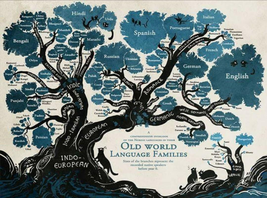 High Quality Translation for Professionals and Corporations