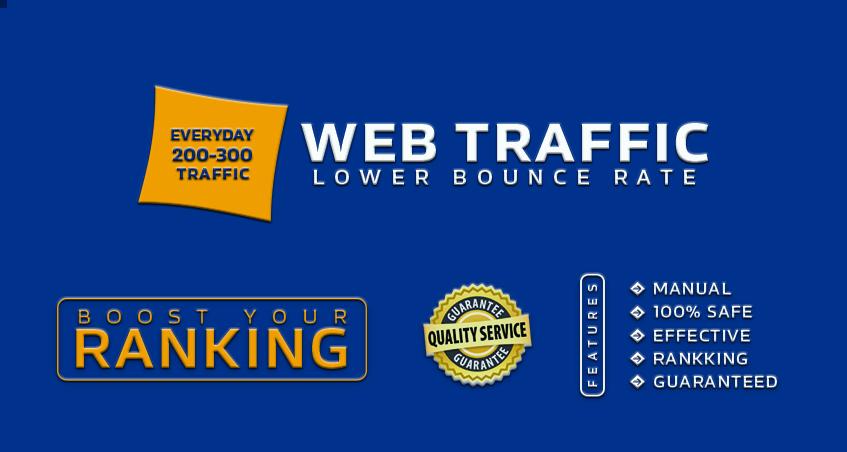 Each Day 200-300 worldwide website traffic for 15 days