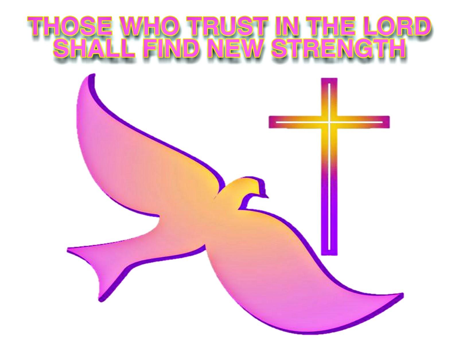 VECTOR services, Tag Cloud, Draw, Redraw, Create, Vectorize, Tracing, Banner