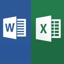I can do convert any types of image to excel or word file 